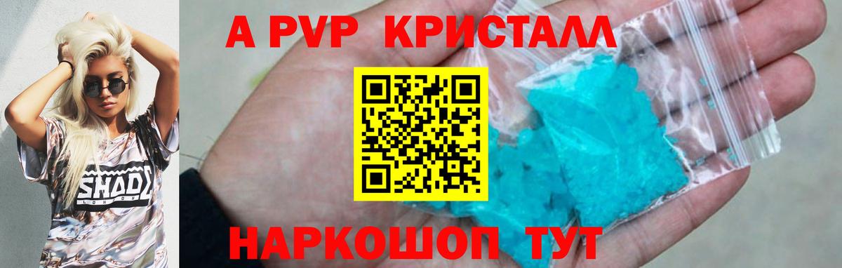 как найти   A PVP  APVP СК КРИС  APVP СК  Вход с VPN  Alpha-PVP крисы CK  Гай 