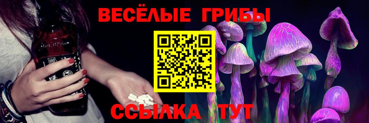 Гай  Псилоцибиновые грибы MAGIC MUSHROOMS  Вход с VPN  Галлюциногенные грибы прущие грибы 