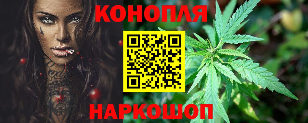 Гай  Бошки марихуана марихуана  Конопля план  Вход с VPN  Конопля Ganja 